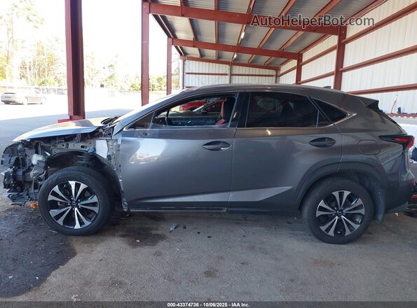 JTJSARDZ2M2261866 2021 LEXUS NX 300 Gray 