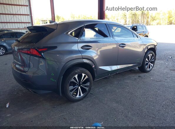 JTJSARDZ2M2261866 2021 LEXUS NX 300 Gray უკანა მარჯვენა
