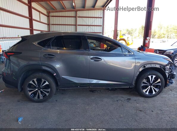 JTJSARDZ2M2261866 2021 LEXUS NX 300 Gray სალონის 360-გრადუსიანი ხედი