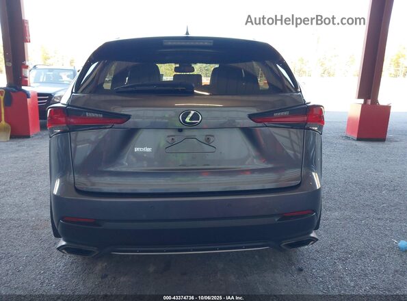 JTJSARDZ2M2261866 2021 LEXUS NX 300 Gray 