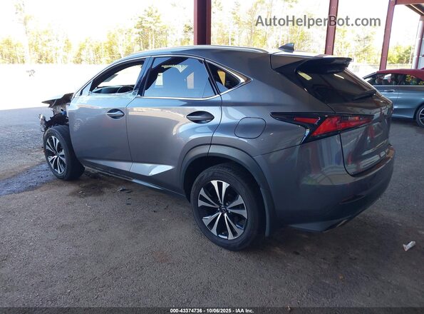 JTJSARDZ2M2261866 2021 LEXUS NX 300 Gray უკანა მარცხენა