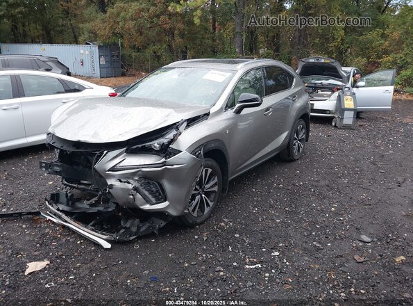 JTJSARDZ4L2228334 2020 LEXUS NX 300 Silver Front left