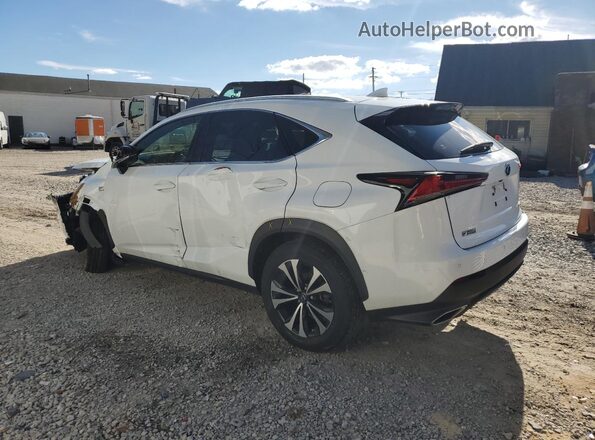 JTJSARDZ8M2237488 2021 LEXUS NX White 