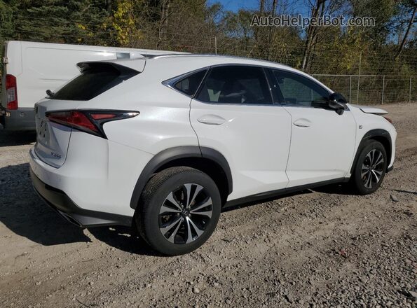 JTJSARDZ8M2237488 2021 LEXUS NX White 