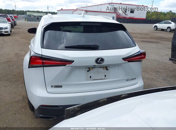 JTJSARDZ8M5020697 2021 LEXUS NX 300 Белый 
