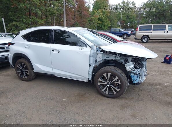 JTJSARDZ8M5020697 2021 LEXUS NX 300 Белый Панорамный вид салона 360°