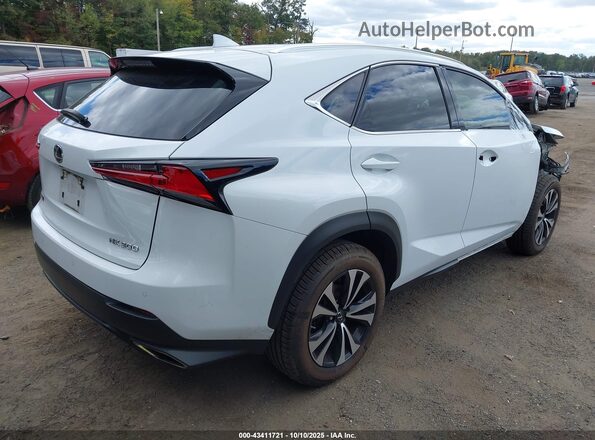JTJSARDZ8M5020697 2021 LEXUS NX 300 Белый Задняя правая четверть