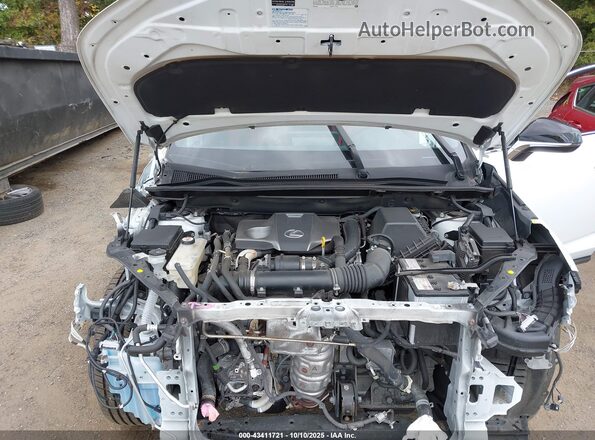 JTJSARDZ8M5020697 2021 LEXUS NX 300 Белый Вид сзади