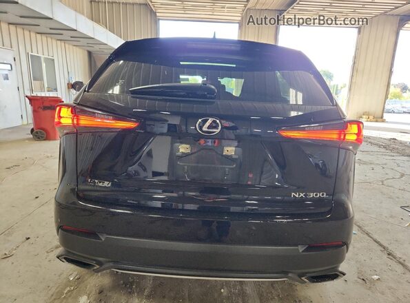 JTJSARDZXL5012843 2020 LEXUS NX Black 