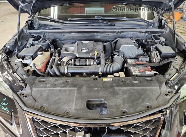 JTJSARDZXL5012843 2020 LEXUS NX Black 