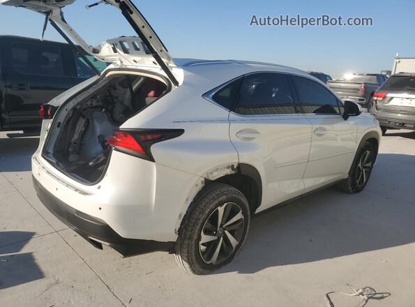 JTJYARBZ1J2088544 2018 LEXUS NX White 