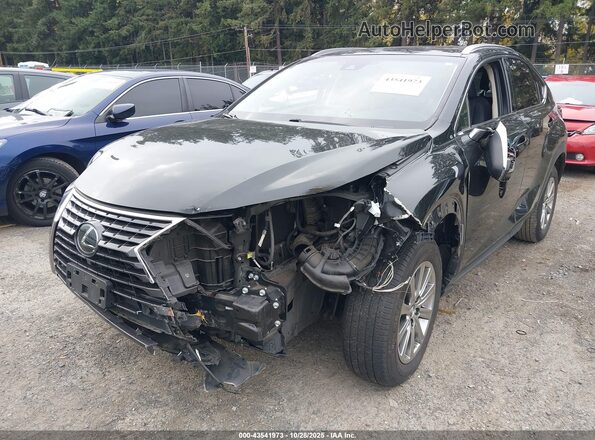 JTJYARBZ2K2127224 2019 LEXUS NX 300 Black Vista frontal