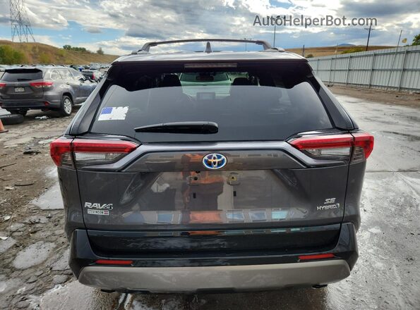 JTM16RFV2PD100324 2023 TOYOTA RAV4 Gray Вид ззаду
