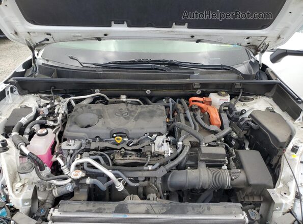 JTMAB3FV8MD050792 2021 TOYOTA RAV4 White 