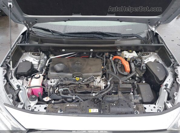 JTMEWRFV9KD512069 2019 TOYOTA RAV4 HYBRID Gray Vista trasera