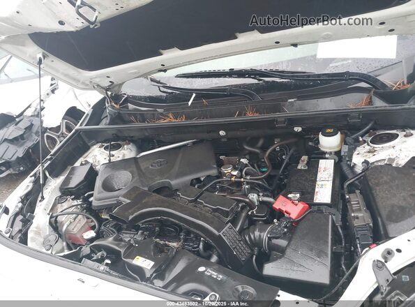 JTMN1RFV9LJ039338 2020 TOYOTA LIMITED White Հետևի տեսք