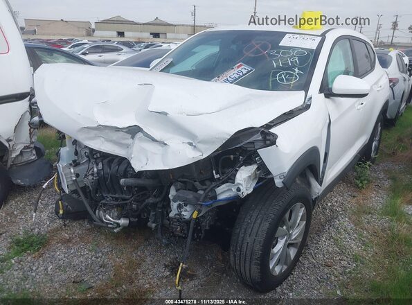 KM8J23A41LU150855 2020 HYUNDAI TUCSON Белый Передняя левая четверть