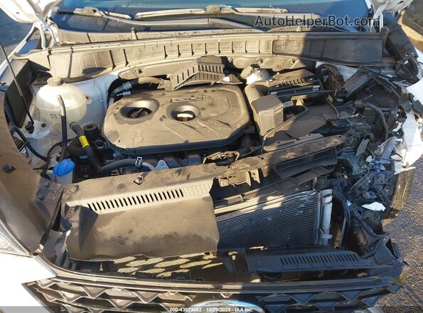 KM8J33A40LU253181 2020 HYUNDAI TUCSON White Rear view