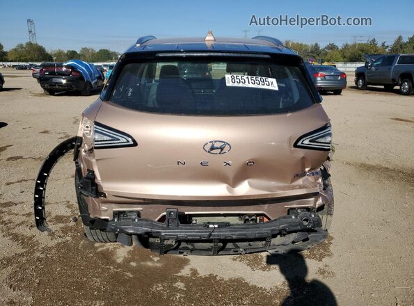 KM8J84A66LU008510 2020 HYUNDAI NEXO Tan Հետևի տեսք