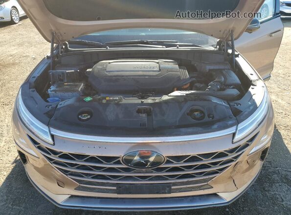 KM8J84A66LU008510 2020 HYUNDAI NEXO Tan Սալոնի հետևի տեսք