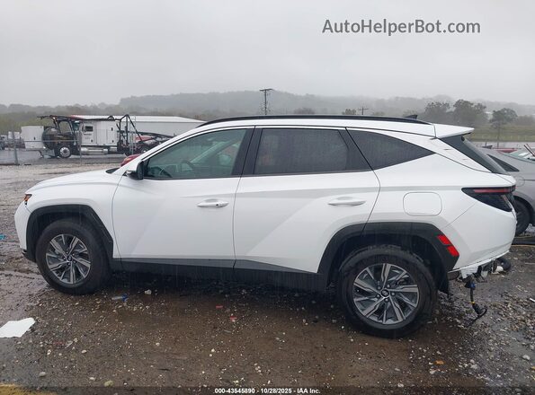 KM8JBCA13NU022996 2022 HYUNDAI TUCSON HYBRID White Widok wnętrza 360 stopni
