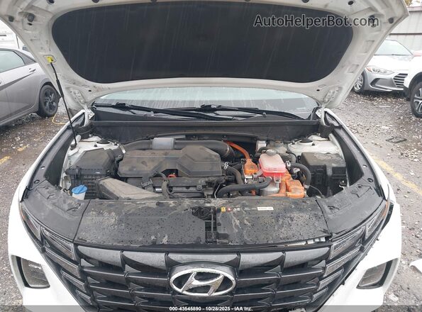 KM8JBCA13NU022996 2022 HYUNDAI TUCSON HYBRID White Widok z tyłu