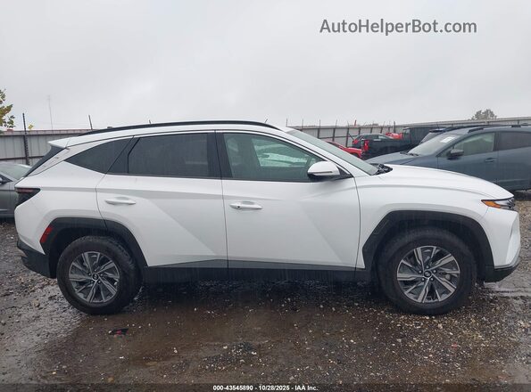 KM8JBCA13NU022996 2022 HYUNDAI TUCSON HYBRID White Widok wnętrza z tyłu