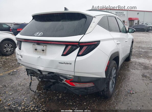 KM8JBCA13NU022996 2022 HYUNDAI TUCSON HYBRID White Tył prawy
