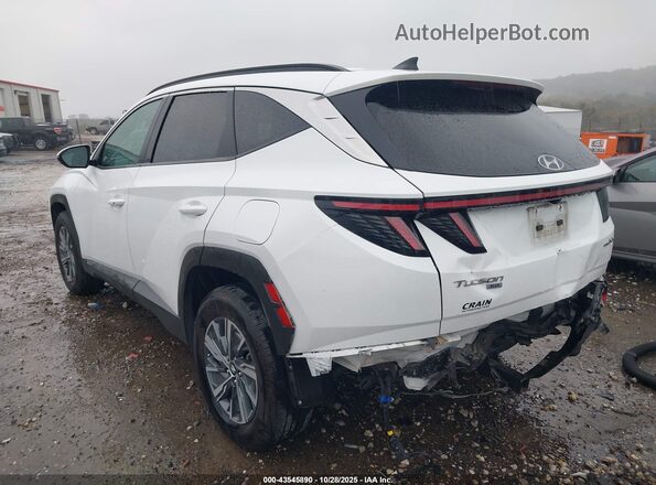 KM8JBCA13NU022996 2022 HYUNDAI TUCSON HYBRID White Tył lewy