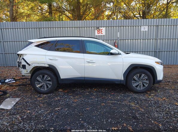 KM8JBCA15NU024720 2022 HYUNDAI TUCSON HYBRID White Rear interior view