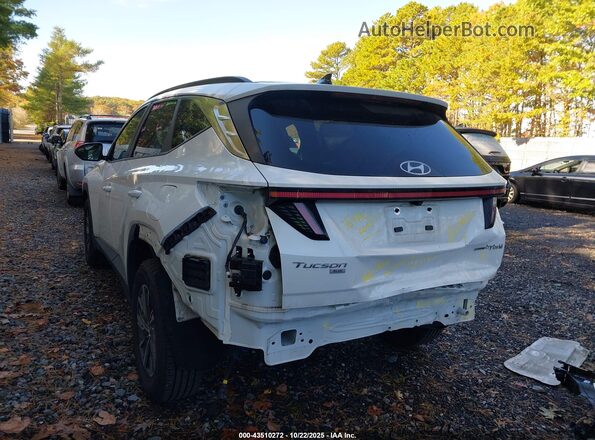 KM8JBCA15NU024720 2022 HYUNDAI TUCSON HYBRID White Front view