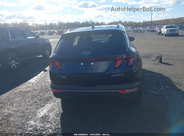KM8JBCD14RU229446 2024 HYUNDAI TUCSON HYBRID Blue 