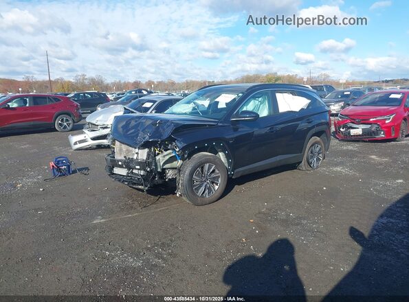 KM8JBCD14RU229446 2024 HYUNDAI TUCSON HYBRID Blue Vista tres cuartos delantera izquierda