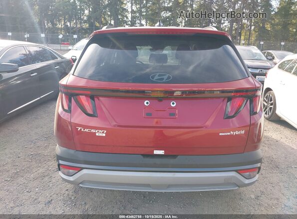 KM8JBDD10SU372230 2025 HYUNDAI TUCSON HYBRID Red 
