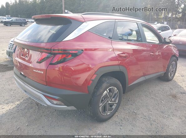KM8JBDD10SU372230 2025 HYUNDAI TUCSON HYBRID Red 