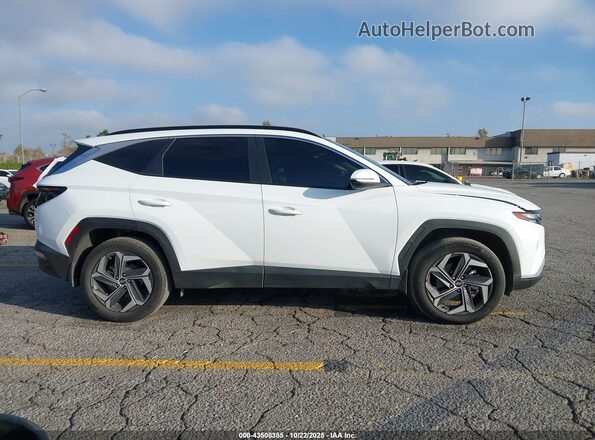 KM8JFCA17PU104981 2023 HYUNDAI TUCSON HYBRID White Vista interior trasera