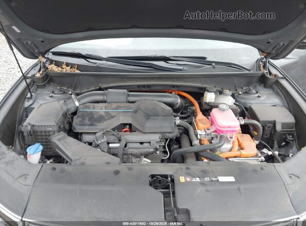 KM8JFCD14RU151352 2024 HYUNDAI TUCSON HYBRID Gray Widok z tyłu