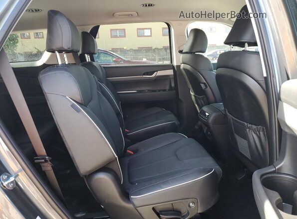 KM8R24GE1SU927722 2025 HYUNDAI PALISADE Gray Вид задньої частини салону