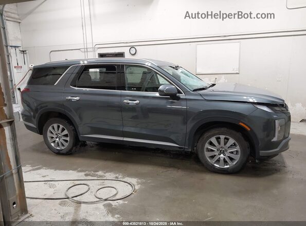 KM8R2DGE3SU899728 2025 HYUNDAI PALISADE Серый Панорамный вид салона 360°