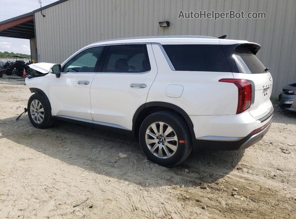 KM8R2DGE5PU601428 2023 HYUNDAI PALISADE White Tył lewy