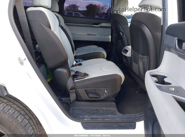 KM8R2DHE1MU295936 2021 HYUNDAI PALISADE White Widok naklejki z numerem VIN