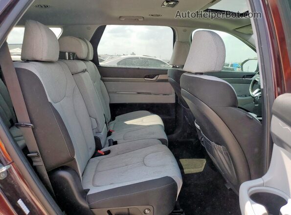 KM8R34HE0LU066126 2020 HYUNDAI PALISADE Бордовый Вид задней части салона