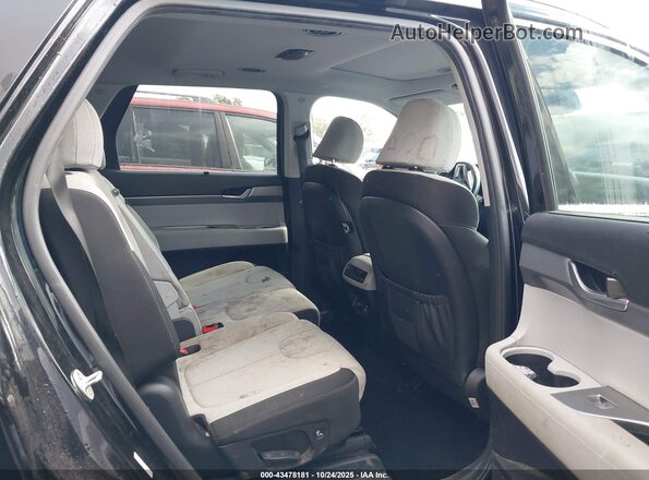 KM8R34HE4LU092762 2020 HYUNDAI PALISADE Black Vista de la etiqueta del VIN