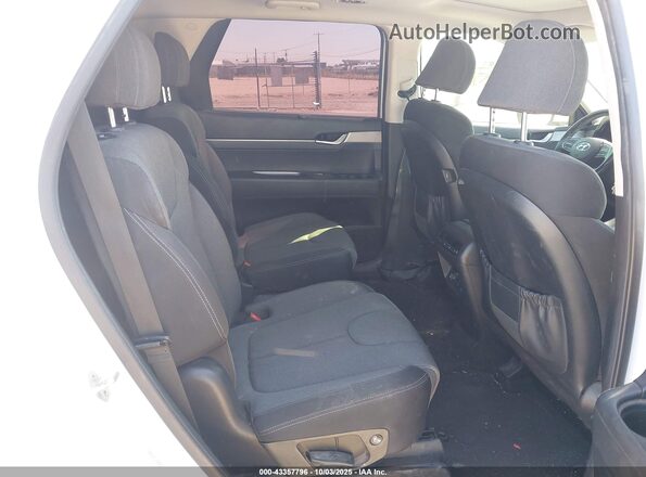 KM8R34HEXLU057093 2020 HYUNDAI PALISADE White Widok naklejki z numerem VIN