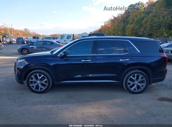 KM8R3DHE3LU116758 2020 HYUNDAI PALISADE Синий Панорамный вид салона 360°