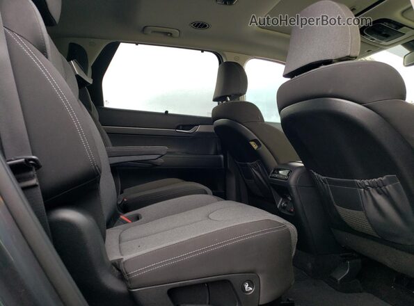 KM8R3DHE7LU095087 2020 HYUNDAI PALISADE Gray Rear seats view