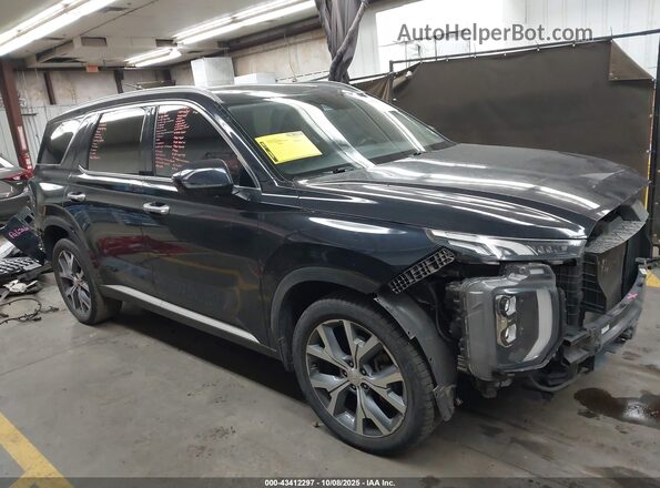 KM8R44HE6LU060201 2020 HYUNDAI PALISADE Черный Панорамный вид салона 360°