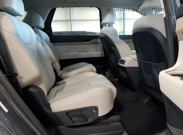 KM8R44HE9LU154668 2020 HYUNDAI PALISADE Gray Rear interior view
