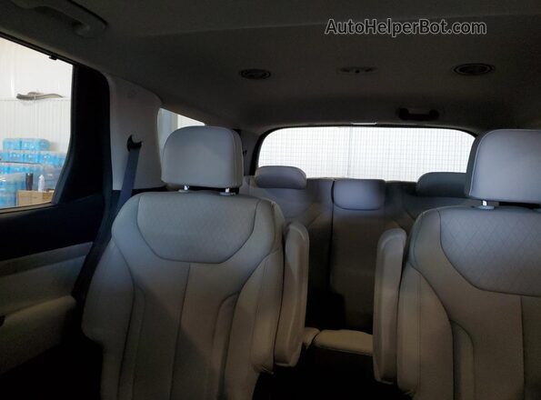 KM8R44HE9LU154668 2020 HYUNDAI PALISADE Gray Rear seats view