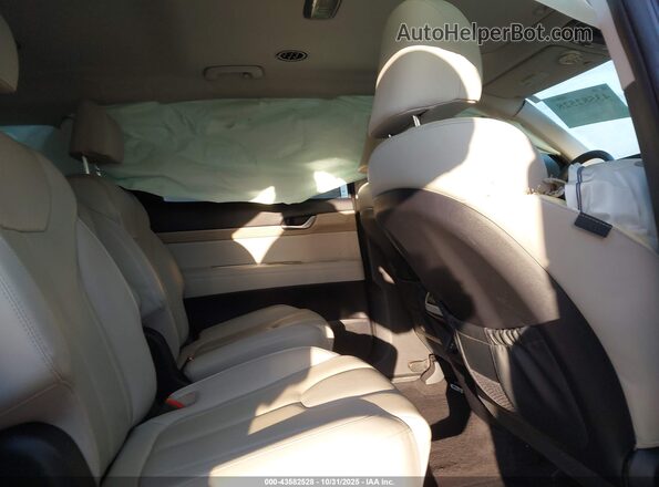 KM8R44HEXLU083898 2020 HYUNDAI PALISADE Dark Blue Widok naklejki z numerem VIN